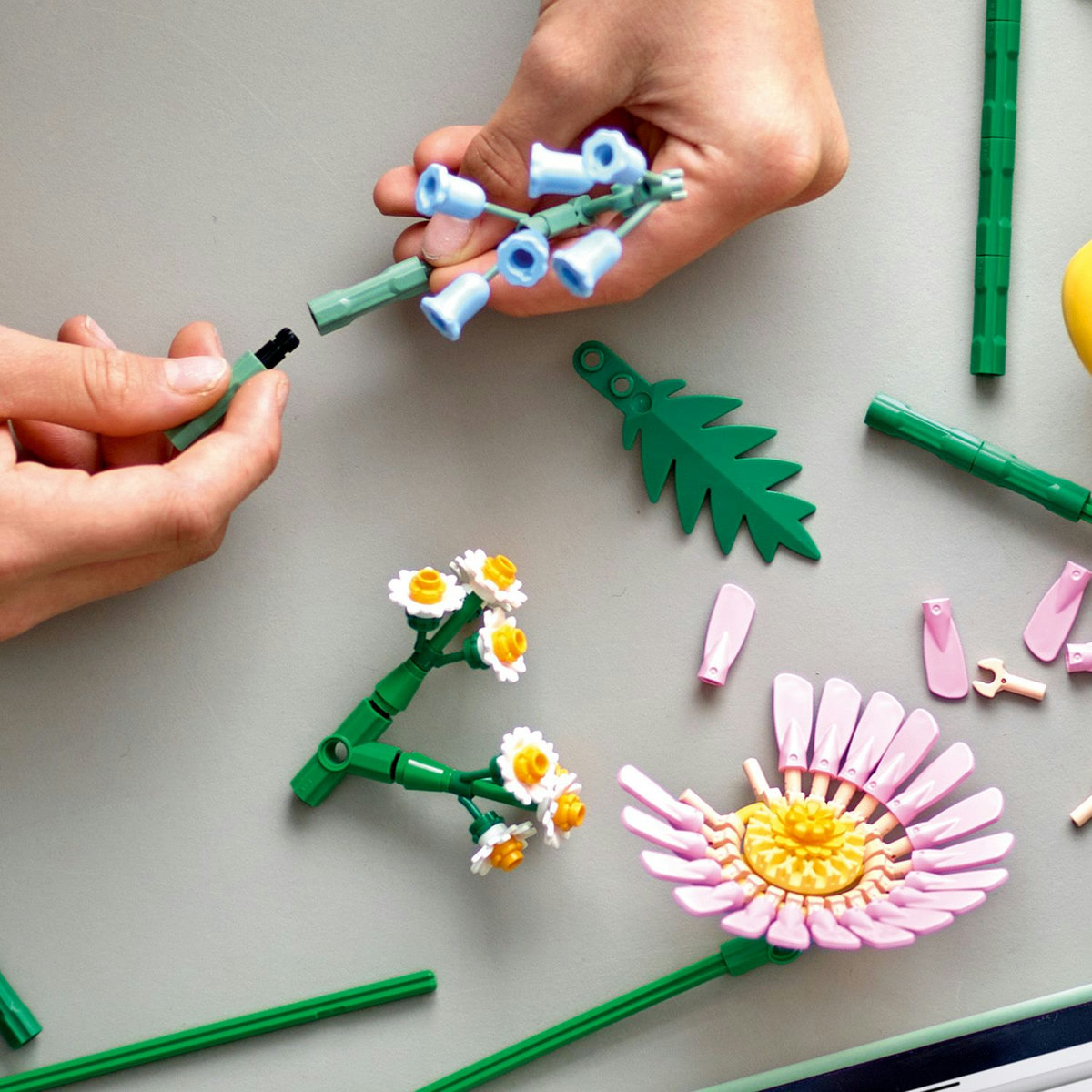 10347-lego-botanicals-2